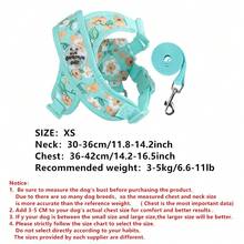 Conjunto de correa para mascotas con estampado floral de primavera, adecuado para perros pequeños, ajustable y cómodo, impresión digital en lienzo transpirable, patrón floral lindo, opciones de multicolor, equipo de exterior de mascotas de moda para evitar fugas - Verde - Ver 13