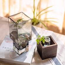 Vaso quadrado moderno com base (1 unidade) - Vaso minimalista, ideal para arranjos florais, decoração de mesa, decoração de ambientes e decoração de casa - Vaso em cor neutra, perfeito para casamentos, festas e salas de estar - Presente ideal. Vaso de vidro com base quadrada de madeira na cor cinza para decoração de arranjos florais na sala de estar. - 1PC - Ver 8
