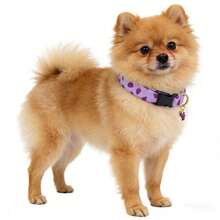 可爱水果吊坠狗狗项圈，可调节甜美舒适宠物项圈，蓝莓、苹果、草莓、葡萄印花，适合小型、中型和大型犬 - 紫色 - 查看 4