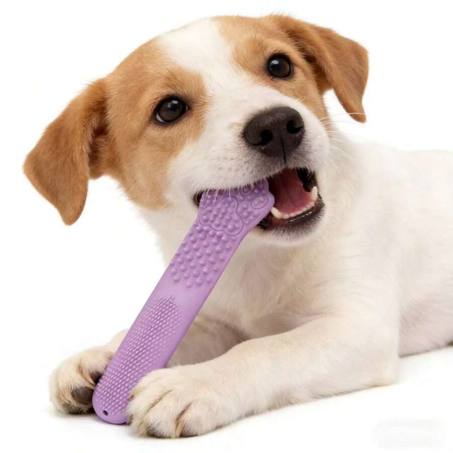 多功能清洁咀嚼玩具 - 适用于所有犬种的牙齿清洁刷，互动训练和自清洁设计 - 彩色 - 查看 1