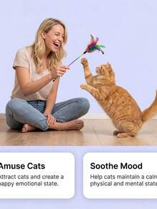 猫咪薄荷喷雾，温和不刺激，激发猫咪兴趣和互动，适用于猫玩具、猫抓柱、猫窝，增强玩耍性（新旧版本随机发货） - 彩色 - 查看 7