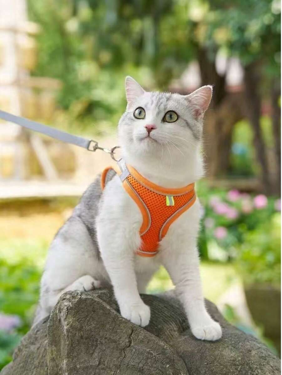 1pc Pet Supplies Vest Style Pet Chest Harness Reflective Breathable Cat Dog Leash - Multicolor - View 1