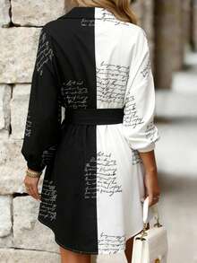 Colorblock  Cut & Sew    Casual    Belted  Button  Button Front    Daily - 黑與白 - 查看 2