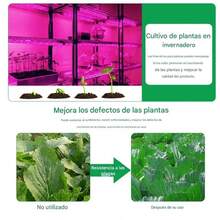 Luz Led USB cultivo plantas tira lámpara Phyto completo semillas flores invernadero plantas - Azul - Ver 8