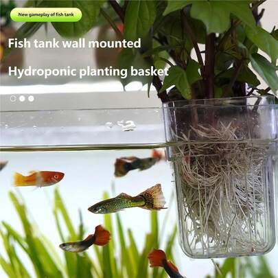 透明水培种植器，适用于水族箱，壁挂式水生植物和花卉种植杯，水族箱绿色植物装饰架，水族箱悬挂式种植器