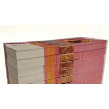 300/600pcs Traditional Chinese Auspicious Pattern Synthetic Paper Coins - Multicolor - View 9