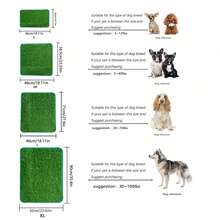 Pet Grass Pee Pad, Dog Toilet, Fake Grass Mat, Potty Training Pad, Artificial Turf Mat - Multicolor - View 4
