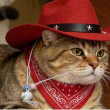中国红色宠物西部牛仔套装，猫/狗节日派对服装帽子和头巾两件套 - 紅色 - 查看 8