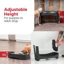Iris Large Plastic Elevated Feeder Black - como en la foto - Ver 4