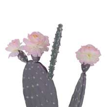 Cactus artificiale in vaso, pianta di cactus artificiale con pietra, fiori rosa e frutta, cactus decorativi del deserto, succulenta di plastica per ufficio, soggiorno e casa - Viola malva - Visualizzare 4