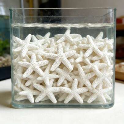 Sao biển trang trí bằng nhựa resin 1,18 inch, trang trí tiệc lễ hội, trang trí nhà theo chủ đề đại dương, đồ thủ công tự làm, thích hợp để trang trí túi xách, khung ảnh và bể cá.