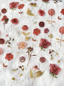 40张/包复古植物干花主题贴纸，创意美学贴纸，DIY剪贴簿工艺材料，节日礼物，个性化贴纸相册学习用品剪贴簿用品文具趣味贴纸Kindle - 2.玫瑰星雲 - 查看 6