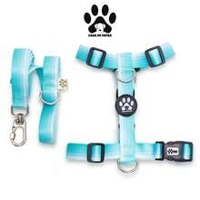H-Shaped Dog Harness With 1.20m Standard Leash - Màu xanh bạc hà - Xem 6