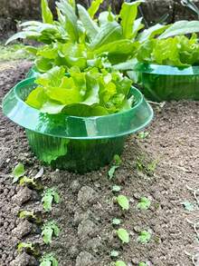 Protectores de plantas tipo campana de jardín, collares de protección de plantas redondos de plástico, barrera de defensa contra caracoles y babosas, cubiertas de protección químicamente libres para verduras y flores - A - Ver 2