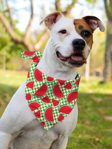 5 Stück Unabhängigkeitstag Hunde Bandanas mit Sommer Obst Muster, Pride Day Lätzchen Dreieck Hunde Schal, bunte Ozean Hunde Bandanas für mittelgroße und große Hunde, Geburtstags Sommer Kostüm Accessoires Dekoration - Verschiedenfarbig - Übersicht 3