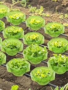 8/16pcs Plant Slug Collars Protection Set Green Round Snail And Slug Protective Cover Reusable Plastic Plant Covers For Indoor Garden Planter Plants Seedlings Protects Plants To Get Better Animal Snails Insects - Round - View 12