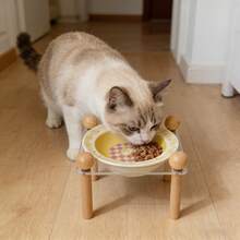 1个亚克力材质的带木腿的陶瓷高脚碗，高温陶瓷烧制而成，易于清洗，卡通钢琴兔飞碟造型，适用于盛放宠物猫狗的食物和水。 - 260毫升 - 查看 3