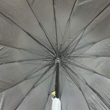 Umbrellas And Rain Hat Umbrellas - Came - View 4