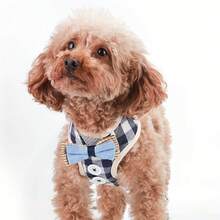 Pet Dog And Cat Harness Vest, Comfortable Mesh Dog Harness And Leash Set - Breathable, Reflective, Adjustable Size Pet Vest - Perfect For Puppies And Kittens - 紅色的 - 查看 6