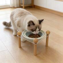 1个亚克力材质的带木腿的陶瓷高脚碗，高温陶瓷烧制而成，易于清洗，卡通钢琴兔飞碟造型，适用于盛放宠物猫狗的食物和水。 - 260毫升 - 查看 9