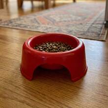 Comedero de Plástico para Perro o Gato Tamaño Mediano – Plato Resistente para Alimento o Agua, Recipiente Práctico para Mascotas, Ideal para Uso Diario en el Hogar - 1L - Ver 2