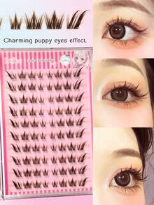 Asiteo 80/160/240 Pcs C-Curl Brown Natural Looking, Doe-Eye And Foxy-Eye Design Soft Eyelashes, Eye End Elongated, Self Adhesive Lashes For Beginners, Cute Cartoon Pet Eyelashes Four-Part Segmented False Eyelashes - C - View 4