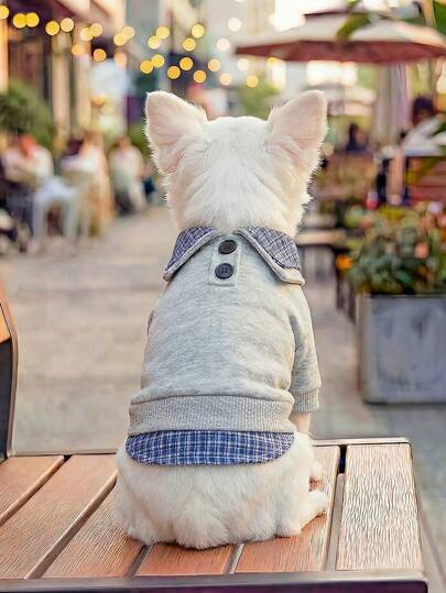 1pc Pet Clothes, Outdoor & Indoor Apparel For Small Dogs & Puppies, Casual Fashionable Cute Comfortable 2 In 1 Collar Sweatshirt, European & Korean Style