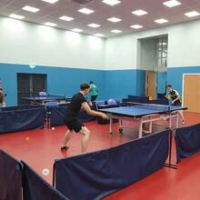 20 PCS Three-Star Table Tennis Balls Made Of New Materials, Thickened And Highly Elastic, Designed For Professional Training And Durable Matches - Multicolor - View 12