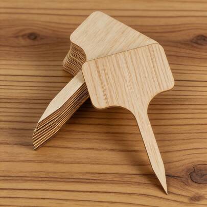 10 thẻ đánh dấu cây hoàng dương, nhãn tên cảnh quan hình dạng độc đáo cho hoa, thẻ đánh dấu cây treo tái sử dụng, nhãn cây và vật tư làm vườn tại nhà