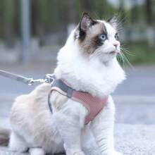 1pc Pet Supplies Vest Style Pet Chest Harness Reflective Breathable Cat Dog Leash - Multicolor - View 4