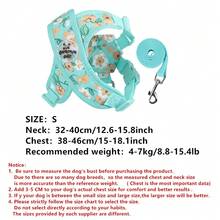 Conjunto de correa para mascotas con estampado floral de primavera, adecuado para perros pequeños, ajustable y cómodo, impresión digital en lienzo transpirable, patrón floral lindo, opciones de multicolor, equipo de exterior de mascotas de moda para evitar fugas - Verde - Ver 12