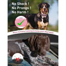 No Shock Dog Training Collar,Vibrating Dog Collar With Remote 2800Ft, Beep And Vibration Collar For Small Puppy Medium Large Dog - Multicolor - View 7