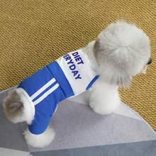 Pantalones de malla transpirable de 4 patas, adecuados para perros pequeños como el caniche y el Teddy, pantalones ligeros de tirantes para verano - Azul - Ver 3