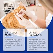 宠物口腔护理套装，温和清洁牙齿，清新口气，呵护牙龈，去除牙垢，适用于猫狗 - 查看 7