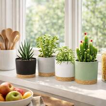 4pcs Mixed Color Plant Container, Simple Plastic Outdoor Indoor Garden Planter For Household - Multicolor - View 6