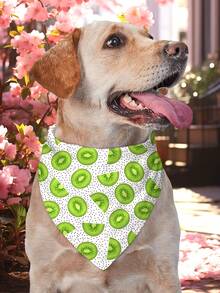 5 Stück Unabhängigkeitstag Hunde Bandanas mit Sommer Obst Muster, Pride Day Lätzchen Dreieck Hunde Schal, bunte Ozean Hunde Bandanas für mittelgroße und große Hunde, Geburtstags Sommer Kostüm Accessoires Dekoration - Verschiedenfarbig - Übersicht 5