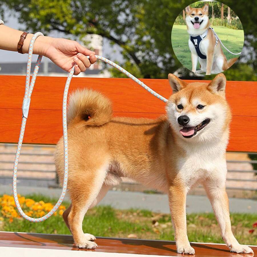 重型犬只训练牵引绳,耐用防滑尼龙材质,可调节舒适,适合小型和中型犬。 - 彩色 - 查看 1