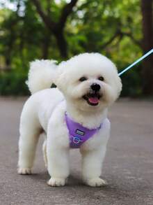Bộ dây đeo ngực cho thú cưng, dây đeo ngực lưới cho chó và dây dắt, khóa chữ D, phản quang, thiết kế túi định vị, phù hợp cho chó nhỏ, mèo và thỏ. - Màu Lilac Tím - Xem 6