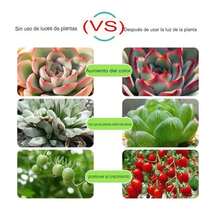 Luz Led USB cultivo plantas tira lámpara Phyto completo semillas flores invernadero plantas - Azul - Ver 3