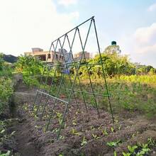 27pcs Multi-Function Metal Core Garden Support Stake Set, Includes Support Rods, A-Shaped Connectors, Connecting Tubes And Plastic-Coated Clips, Rust-Resistant Easy Installation, Suitable For Cucumber, Tomato, Beans And Other Climbing Vegetables - Garden Trellis - View 3