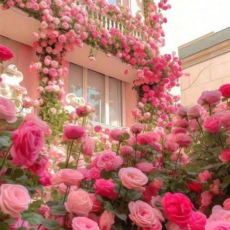 200 Climbing Rose Plant, Four Seasons Blooming Rose, Climbing Plant Plant, Outdoor Garden Flower Plant - 200 Pieces - View 1