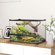 Terrariums - Noir - Voir 8