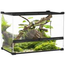 Terrariums - Noir - Voir 1