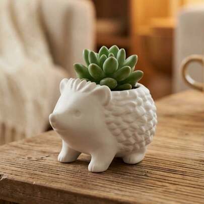 刺猬造型花盆，适合种植多肉植物和小盆栽，动物造型室内桌面植物盆，适用于家居办公室装饰，白色/黑色/棕色