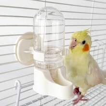 新款自动鹦鹉饮水器，鸟类用品饮水瓶喂食器，适用于小型鸟类和水瓶，鸟笼 - 70ml鸚鵡餵水器 - 查看 8
