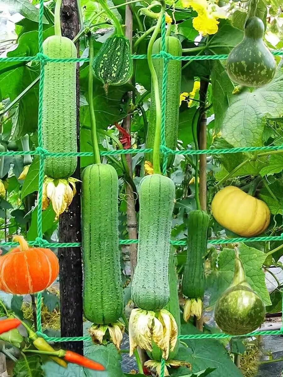 1件水果蔬菜攀爬支撐網，花園種植網，適用於後院蔬菜園，網格支撐網，花園綠色植物攀爬網，DIY植物支撐攀爬網，適用於室內外使用，園藝必需品