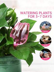 8个郁金香形自浇水球，带缓释滴灌系统和细雾喷头 - 塑料植物浇水装置，适用于室内/室外盆栽植物、吊篮和室内植物，低维护灌溉系统 - 多色 - 查看 2