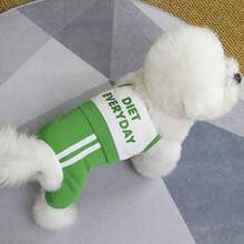 Pantalones de malla transpirable de 4 patas, adecuados para perros pequeños como el caniche y el Teddy, pantalones ligeros de tirantes para verano - Azul - Ver 5