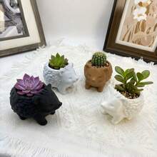 刺猬造型多肉植物盆栽，小型室内桌面花盆，家居办公装饰，白色/黑色/棕色 - 1pc - 查看 7
