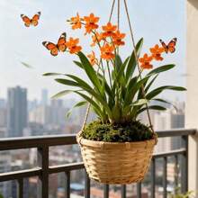50 Pieces Orchid Seeds Vine Seeds Outdoor Flower Border Seeds Courtyard Shaded Areas Elegant Flower Shape Assisting In Enhancing Ornamentation In Low-Light Areas - 50pcs/seed - View 2